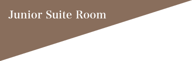 Junior Suite Room